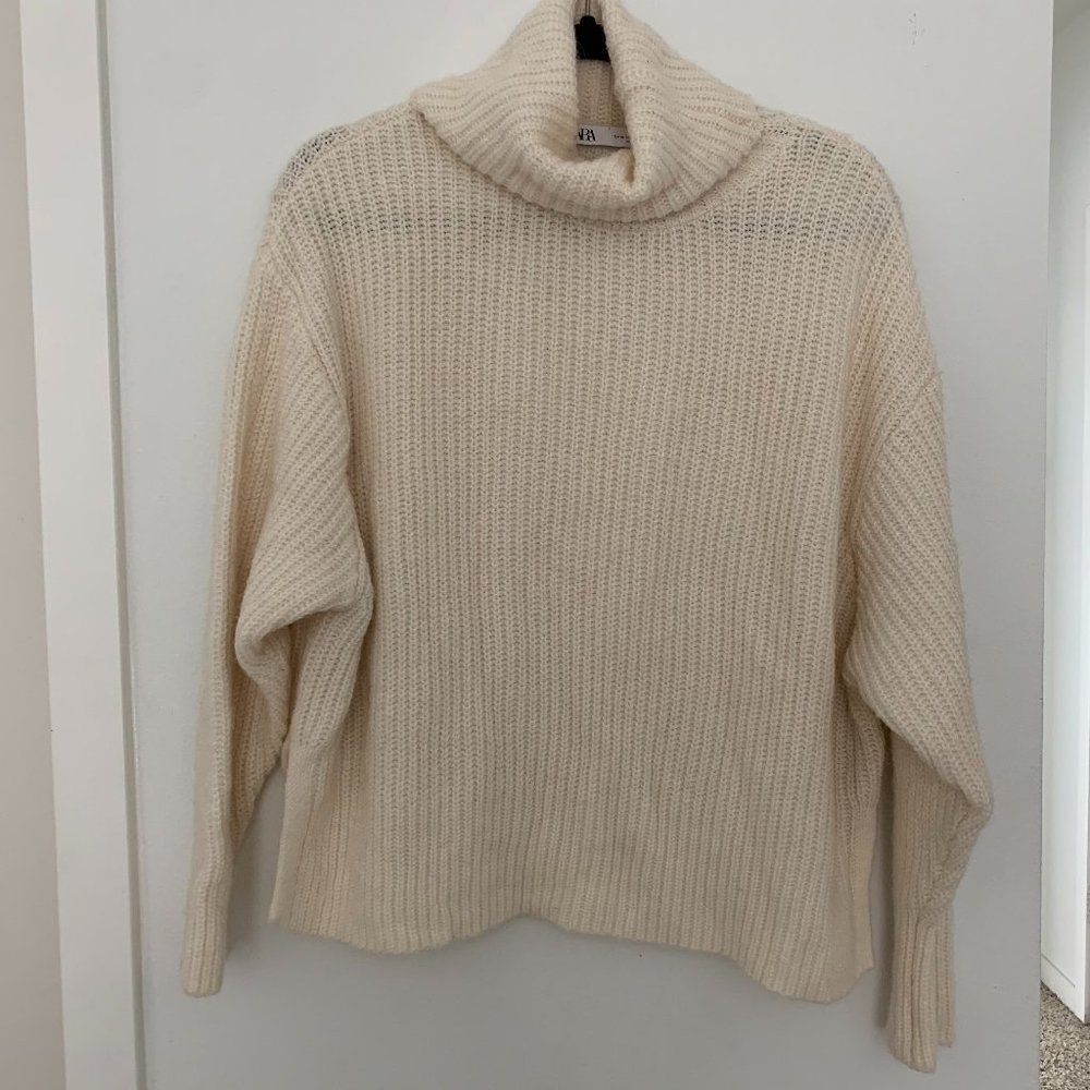 Zara Turtle Neck Sweater